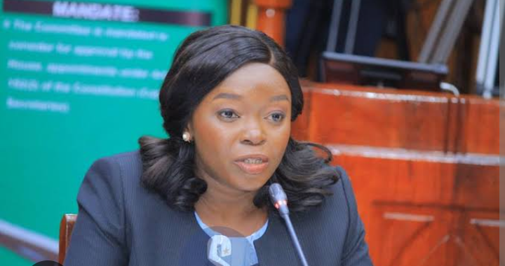 Screenshot 20241114 223619